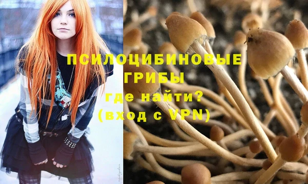 марки nbome Белокуриха